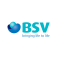 BSV Group